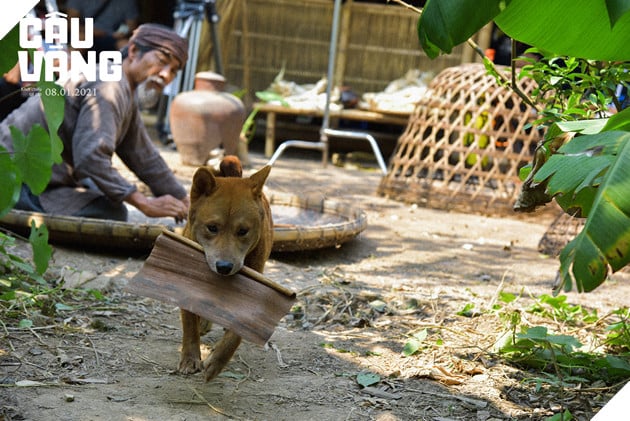 Review Cậu Vàng: Tác phẩm nâng tầm văn học hiện thực phê phán Việt Nam 3