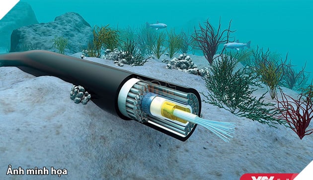 Mạng Intenet Việt Nam lại tiếp tục bị cá mập cắn cáp tuyến APG vào ngày 9 tháng 1 năm 2021