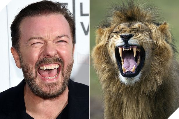 Tài tử Anh gây sốc với tuyên bố muốn được 'trở thành mồi cho sư tử' sau khi chết 