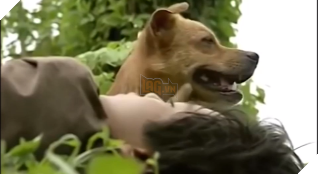  
Phèn trong phân đoạn gọi Cò đi cứu bé An gây sốt vì chỉ cần thực hiện 1 lần đã thành công. (Ảnh cắt từ clip)