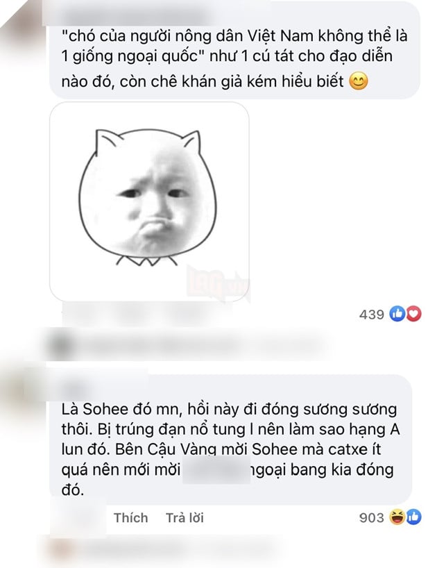  
Nhiều ý kiến bênh vực chó ta, chê trách Cậu Vàng "sai lầm" trong lựa chọn. (Ảnh chụp màn hình)