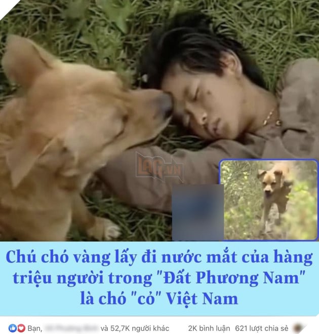  
Thông tin về đoạn video Phèn trong Đất Phương Nam được "đào" lại gây sốt mạng xã hội. (Ảnh: FB BMSB)