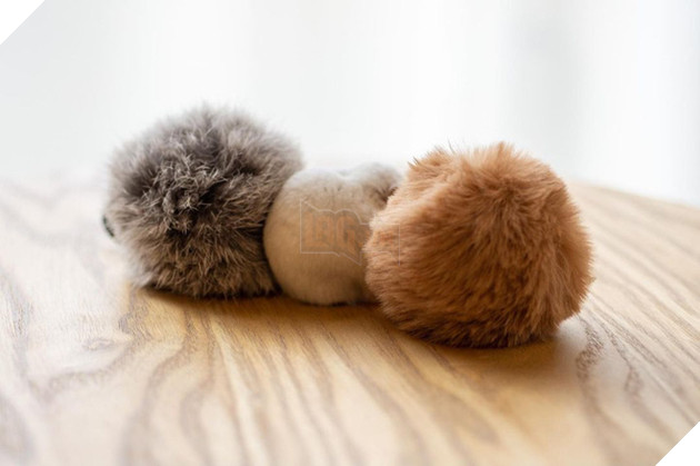 Chú chuột hamster đáng yêu nhất MXH Việt hôm nay: &quot;Quốc tịch&quot; Nhật Bản, đáng yêu hết phần thiên hạ với những kiểu tạo dáng độc đáo hết nấc - Ảnh 2.