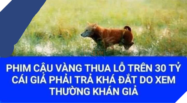 Cậu Vàng chính thức bị rút khỏi Cgv, Lotte chỉ sau 2 tuần công chiếu và thực sự đã thất bại