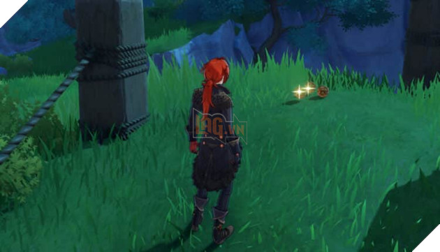 Genshin Impact: Tìm Quả thông ở địa điểm nào trong Genshin Impact?  2