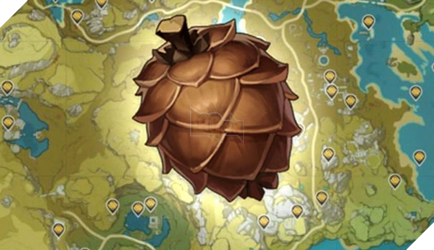 Genshin Impact: Tìm Quả thông ở địa điểm nào trong Genshin Impact? 