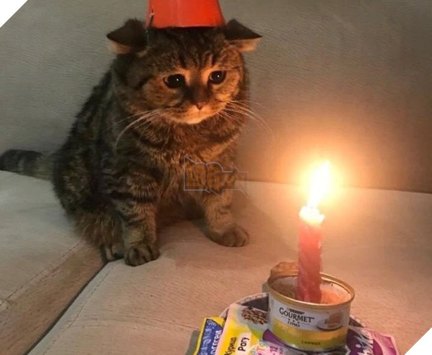 Sen nhiễm Covid nhưng vẫn muốn làm sinh nhật hoàng thượng khiến 10 người khác bị lây nhiễm 