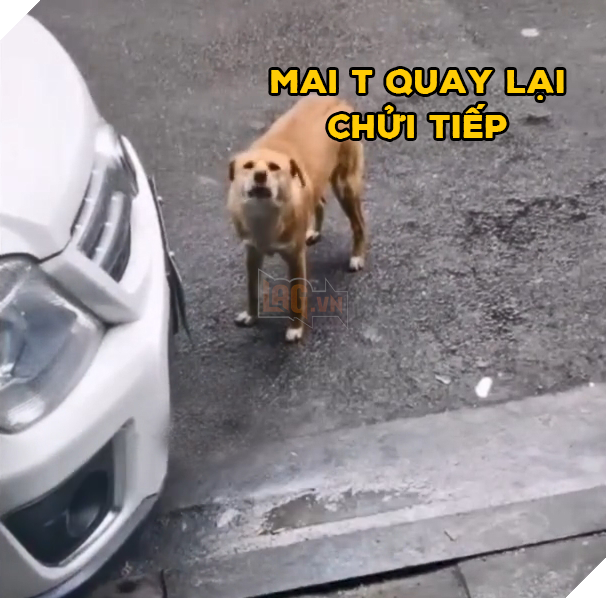  
Ngày mai lại đến tiếp đó nhé. (Ảnh: Chụp màn hình)