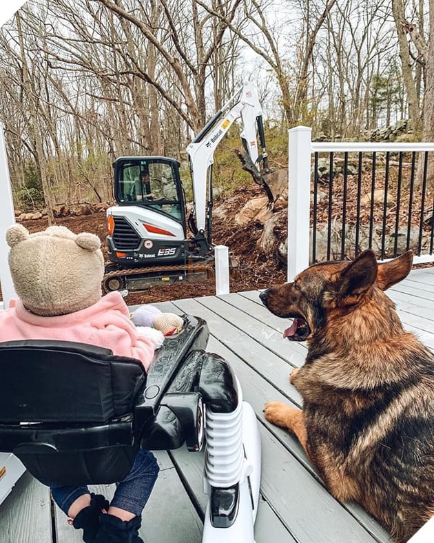 Chú chó đặc vụ nổi tiếng khắp MXH nhờ gương mặt ra đường là cá mập, ở nhà là cá con hệt như sở hữu 2 nhân cách trái ngược nhau - Hình 14