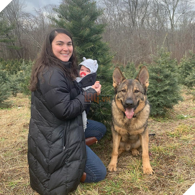 Chú chó đặc vụ nổi tiếng khắp MXH nhờ gương mặt ra đường là cá mập, ở nhà là cá con hệt như sở hữu 2 nhân cách trái ngược nhau - Hình 13