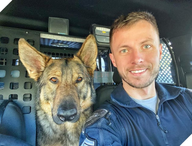 Chú chó đặc vụ nổi tiếng khắp MXH nhờ gương mặt ra đường là cá mập, ở nhà là cá con hệt như sở hữu 2 nhân cách trái ngược nhau - Hình 1