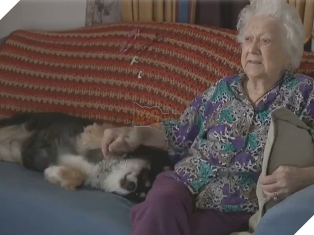  
Lulu hiện đã được nhân viên cũ của ông chủ chăm sóc. (Ảnh: News Channel 5)