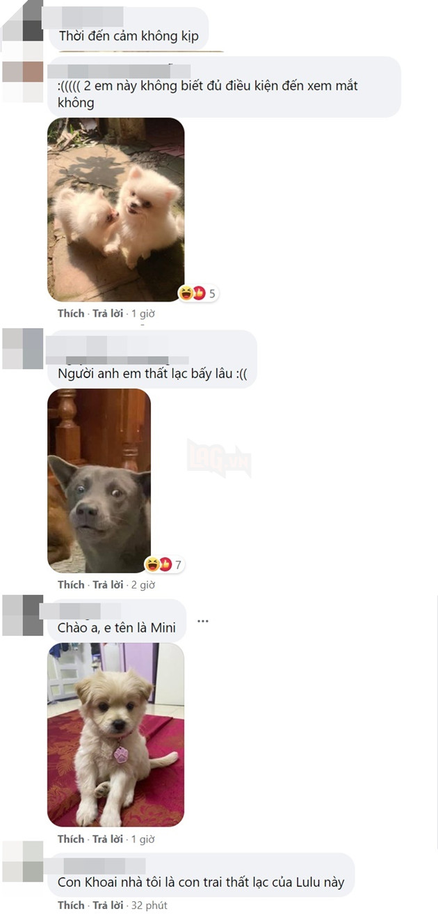  
Những bình luận của cư dân mạng. (Ảnh chụp màn hình)