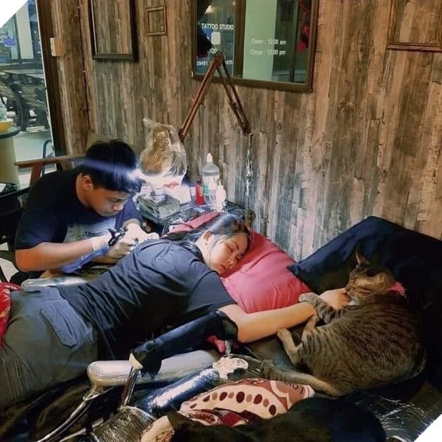 Karaoke tay vịn xưa rồi, bây giờ phải chơi cả tha thu tay vịn mới ngầu 3