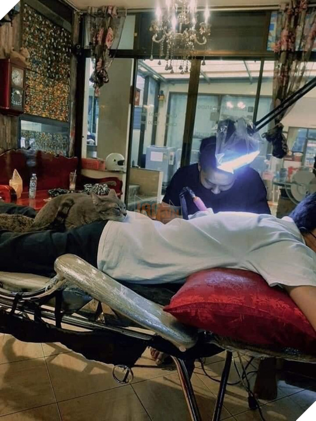 Karaoke tay vịn xưa rồi, bây giờ phải chơi cả tha thu tay vịn mới ngầu 5