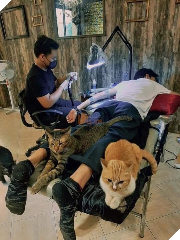 Karaoke tay vịn xưa rồi, bây giờ phải chơi cả tha thu tay vịn mới ngầu 13