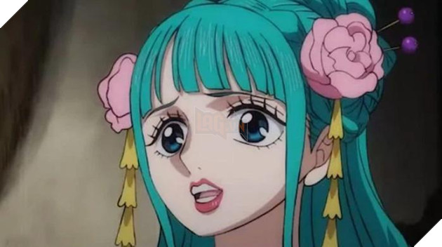 one piece 1004 người ở cùng cửu hồng bao