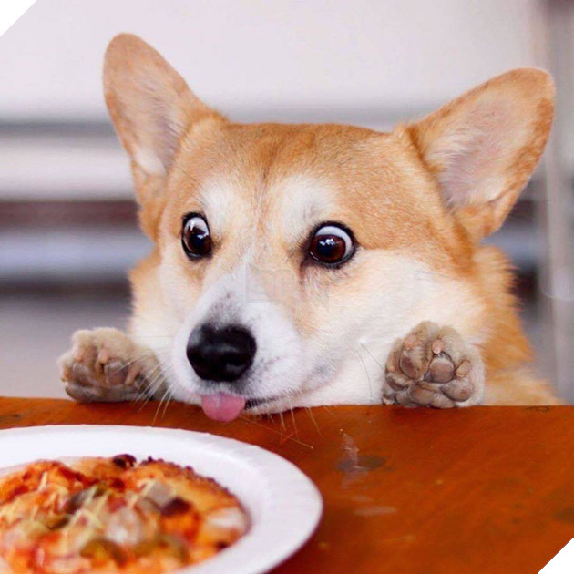  
Gen luôn lạc quan yêu đời. (Ảnh: Instagram)