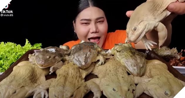 Streamer Mukbang ăn cả ếch luộc trên stream, khiến cộng đồng mạng buồn nôn