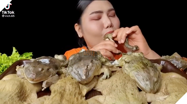 Streamer Mukbang ăn cả ếch luộc trên stream, khiến cộng đồng mạng buồn nôn 2