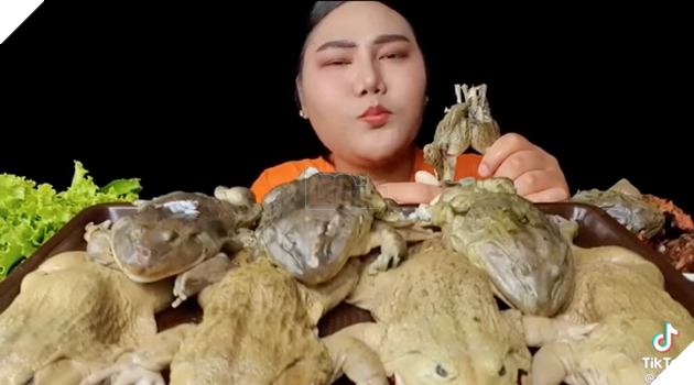 Streamer Mukbang ăn cả ếch luộc trên stream, khiến cộng đồng mạng buồn nôn 3