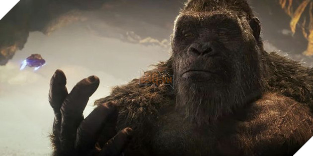 Godzilla vs. Kong: Những điều có thể bạn chưa biết P2  3