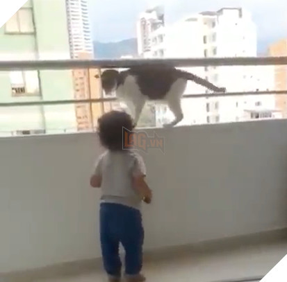 Clip: Chú mèo ngăn cháu bé trèo ra ban công chung cư cao tầng 0