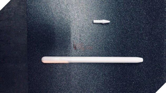 Apple Pencil thế hệ thứ ba rò rỉ với phần thân bóng và đầu bút được thiết kế lại