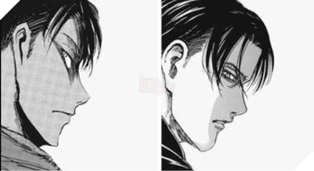 levi