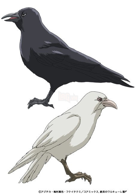 Anime Shuumatsu No Valkyrie - Record Of Ragnarok công bố tạo hình nhân vật khác hẳn manga 11