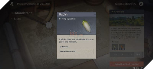 Genshin Impact: Những địa điểm xuất hiện Củ cải trong game