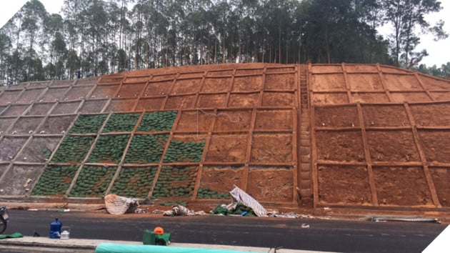 Taluy là gì? Định nghĩa Taluy âm và Taluy dương là như thế nào? 2