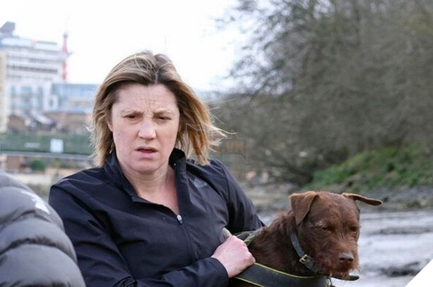 Cái chết của chú hải cẩu 9 tháng tuổi khiến nước Anh thương tiếc: Bị chó dữ nhà giàu tấn công dữ dội tạo nên cảnh hiện trường đẫm máu - Ảnh 7.