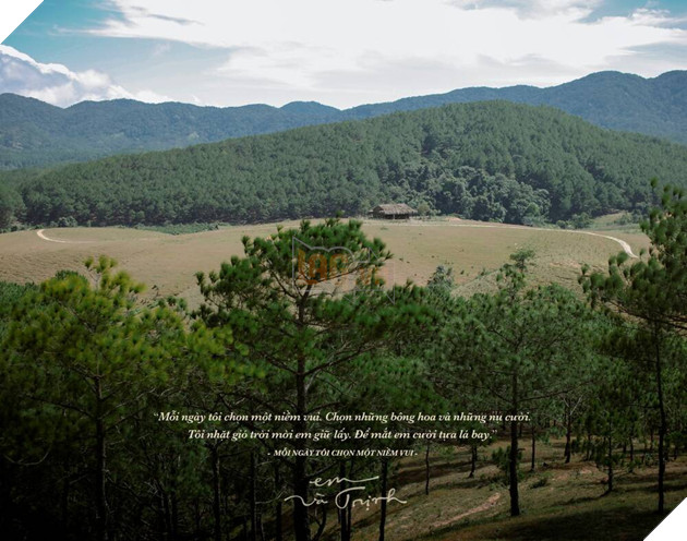  Em và Trịnh chính thức đóng máy, hé lộ mức kinh phí sản xuất cực khủng 3