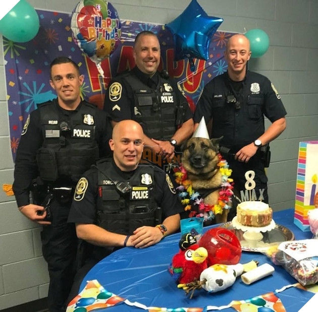 Tổng hợp 15 hình ảnh cực dễ thương của các chú cún đang trong giờ làm việc giúp bạn thư giản cả ngày 7