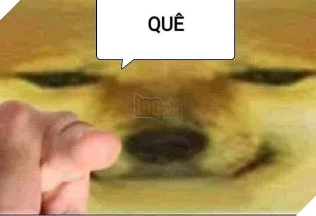 Chó chỉ vào mặt chửi quê (đồ nhà quê) - Meme chó - Ảnh chế meme