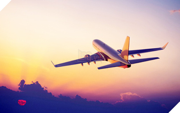 Máy bay phải bay vòng 20 phút trên trời để chờ... đuổi chó - Ảnh 1.