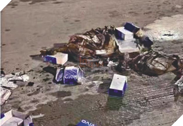 Vivo Bị Hãng Hàng Không Cấm Sau Khi Vận Chuyển Điện Thoại Của Công Ty Bị Cháy 3