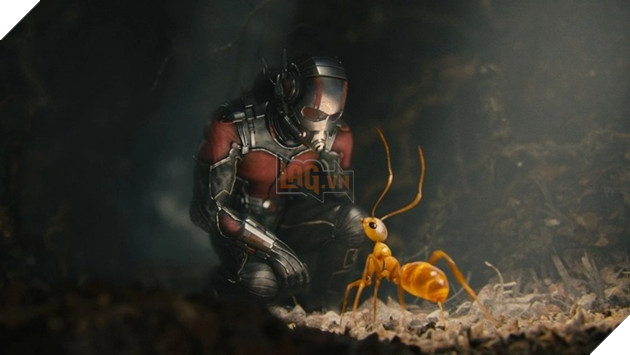 Ant-Man gây sốt trên Twitter với loạt ảnh đeo thử Găng tay vô cực
