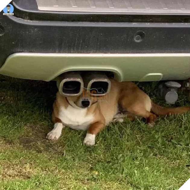 Những bức ảnh kỳ lạ có khả năng gây lú người xem 2