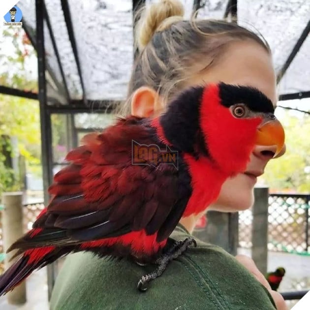 Những bức ảnh kỳ lạ có khả năng gây lú người xem 3