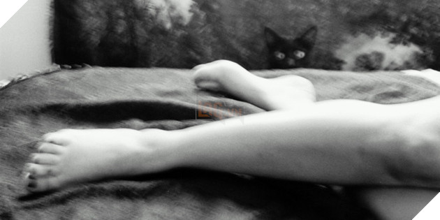 Truyền thuyết đáng sợ về bóng đè trong các nền văn hóa - Ảnh 2.