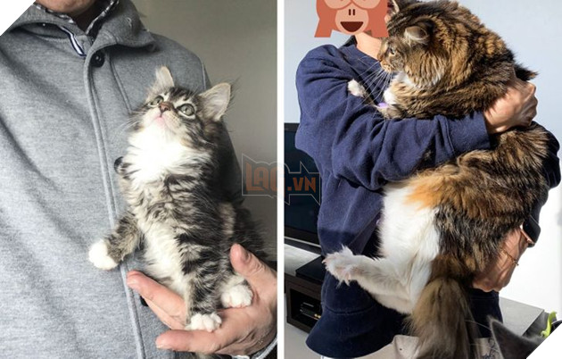 19 hình ảnh cực đáng yêu của các hoàng thượng lúc nhỏ và lúc lớn khiến bạn bất giác mỉm cười hạnh phúc 10