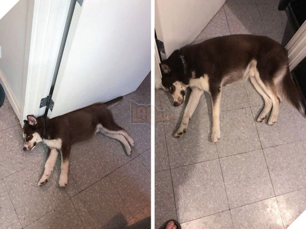 19 hình ảnh cực đáng yêu của các hoàng thượng lúc nhỏ và lúc lớn khiến bạn bất giác mỉm cười hạnh phúc 11