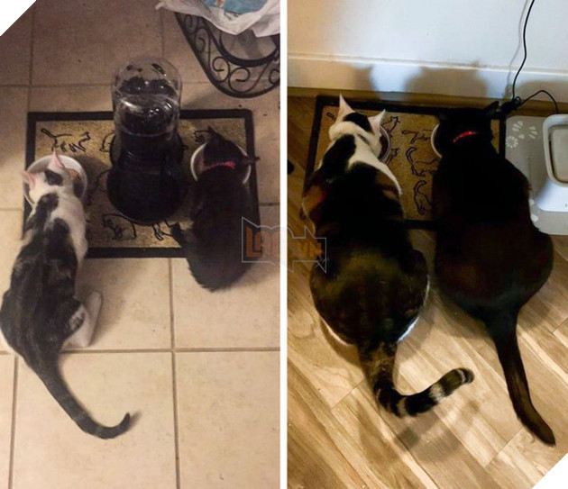 19 hình ảnh cực đáng yêu của các hoàng thượng lúc nhỏ và lúc lớn khiến bạn bất giác mỉm cười hạnh phúc 13