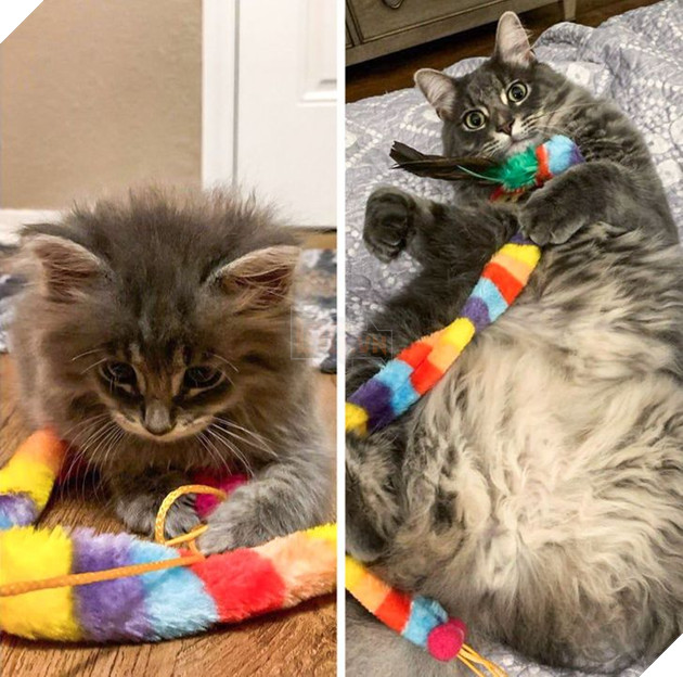 19 hình ảnh cực đáng yêu của các hoàng thượng lúc nhỏ và lúc lớn khiến bạn bất giác mỉm cười hạnh phúc 14