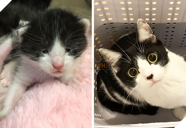 19 hình ảnh cực đáng yêu của các hoàng thượng lúc nhỏ và lúc lớn khiến bạn bất giác mỉm cười hạnh phúc 16