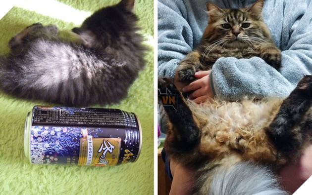 19 hình ảnh cực đáng yêu của các hoàng thượng lúc nhỏ và lúc lớn khiến bạn bất giác mỉm cười hạnh phúc 19