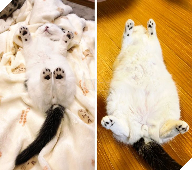 19 hình ảnh cực đáng yêu của các hoàng thượng lúc nhỏ và lúc lớn khiến bạn bất giác mỉm cười hạnh phúc 2