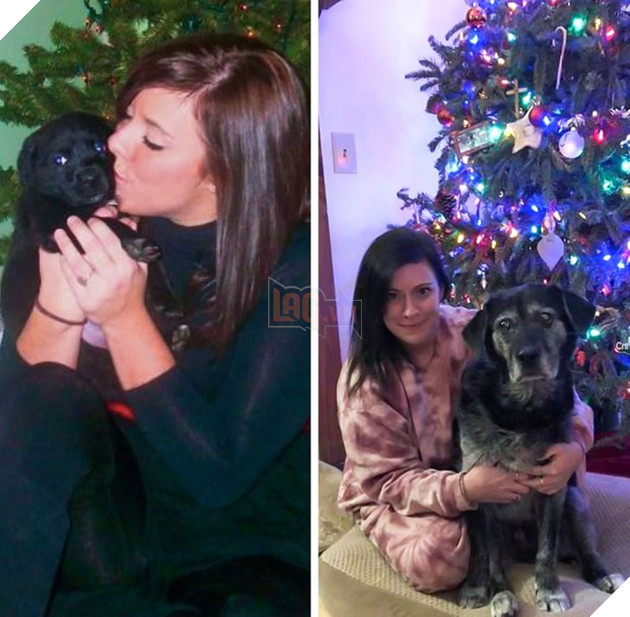 19 hình ảnh cực đáng yêu của các hoàng thượng lúc nhỏ và lúc lớn khiến bạn bất giác mỉm cười hạnh phúc 9